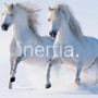 inertia (Explicit)