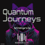 Quantum Journeys