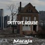 Detroit House