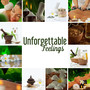 Unforgettable Feelings (Spa Pleasure, Relaxation Techniques, Vital Energy, Massage & Aromatherapy, D