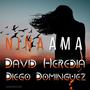 Niña Ama (feat. Diego Dominguez) [fusion Flamenco]