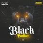 Black Panther (feat. Excel Macel) [Explicit]