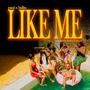 Like Me (feat. Playboy Baby & Sordan) [Explicit]