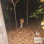 forever young (Explicit)