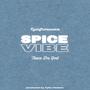 spice/vibe (Explicit)