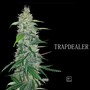 Trapdealer