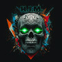 H.I.M (SlowVerb) [Explicit]