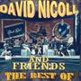 The Best of David Nicoll and Friends, Vol. 1