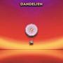 DANDELION (feat. bigmaclost, Drewseph & Tim Cintron)