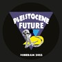 Pleistocene Future 3