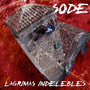 Lagrimas Indelebles (Explicit)