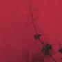 Nothing Matters Anymore (Explicit)