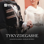 Tykyzdegashe