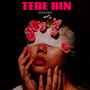 Tere Bin