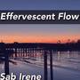 Effervescent Flow