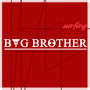 Bug Brother (Explicit)