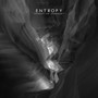 Entropy