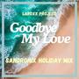 Goodbye My Love (SandroniX Holiday Mix)