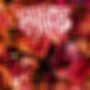 COMPILED AND DEFILED
