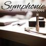 Symphonie feat. (Wowa, eckskwisit & Chris Rede)