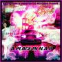 A Place In NAP (feat. Big Skitz) [Radio Edit] [Explicit]