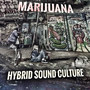 Hybrid Sound Culture