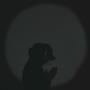 Praying At Night