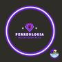 Perreologia (feat. Ariidy)