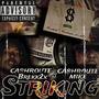 Striking (feat. Cashroute mike) [Explicit]