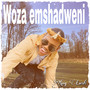 Woza Emshadweni