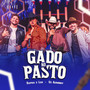 Gado no Pasto (Ao Vivo)