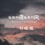 孤独的夜孤独的风