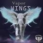 Vapor Wings