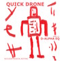 Quick Drone