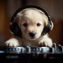 Puppy EDM