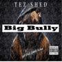 Big Bully (feat. OT Genesis & Rod Marley) [Explicit]