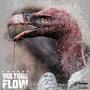 Vulture Flow (Explicit)