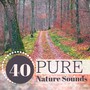 40 Pure Nature Sounds - Soothing Rain, Waterfall & Sea Music with Natural Background