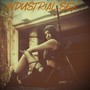 Industrial Sex