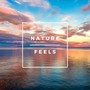 Nature Feels: Ocean Waves, Birds Chirping, Rain Sounds for Relaxation