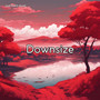 Downsize