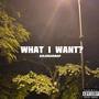 What I Want (Explicit)