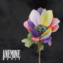 ANEMONE (REMIX)