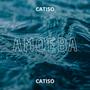 Amoeba