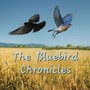 The Bluebird Chronicles