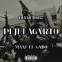 PEJELAGARTO (feat. Maxi el gabo)