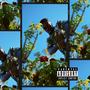 garden freestyle (Explicit)