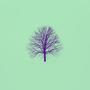 Serenity (Slowed)