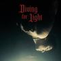 Diving for Light