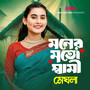 Moner Moto Shami
